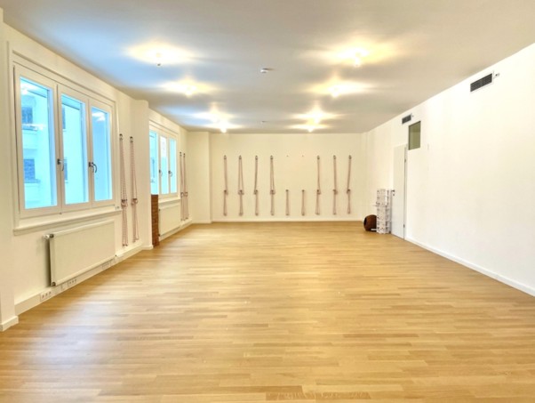 iyengar seminar mit yoga karin